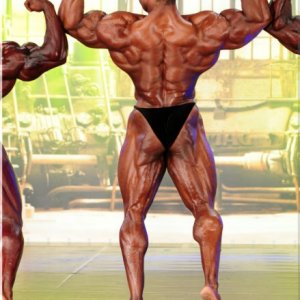 2013 Bodybuilding Images