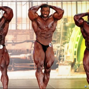 2013 Bodybuilding Images