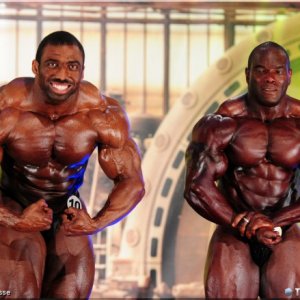 2013 Bodybuilding Images