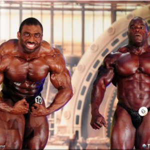 2013 Bodybuilding Images