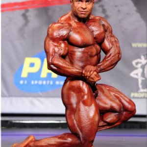 2013 Bodybuilding Images