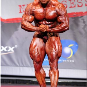 2013 Bodybuilding Images