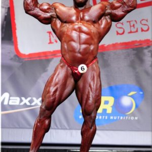 2013 Bodybuilding Images