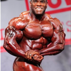 2013 Bodybuilding Images