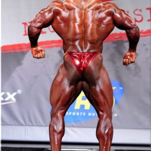 2013 Bodybuilding Images