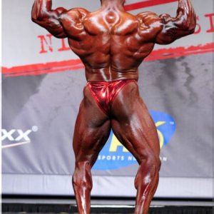 2013 Bodybuilding Images