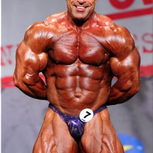 2013 Bodybuilding Images