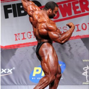 2013 Bodybuilding Images