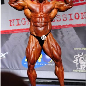 2013 Bodybuilding Images