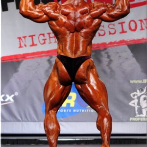 2013 Bodybuilding Images