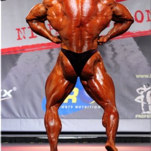 2013 Bodybuilding Images