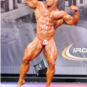 2013 Bodybuilding Images