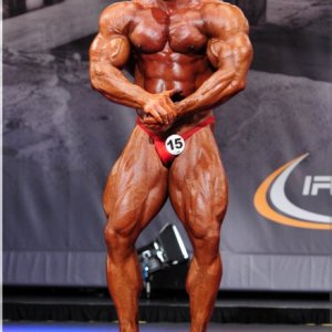 2013 Bodybuilding Images