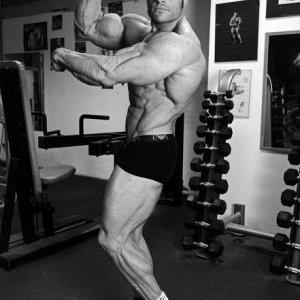 2013 Bodybuilding Images