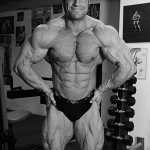 2013 Bodybuilding Images