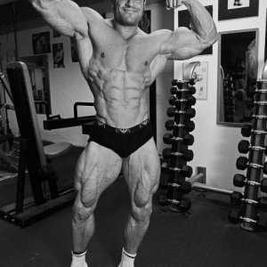 2013 Bodybuilding Images