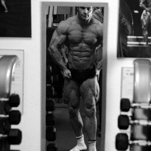 2013 Bodybuilding Images