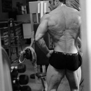 2013 Bodybuilding Images