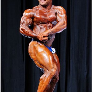 2013 Bodybuilding Images