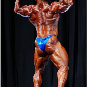 2013 Bodybuilding Images