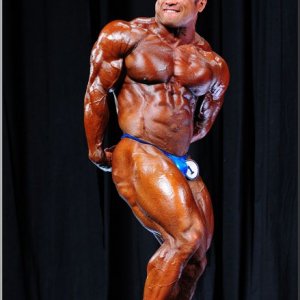 2013 Bodybuilding Images