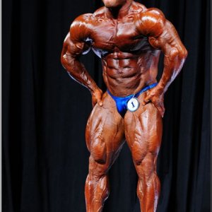 2013 Bodybuilding Images