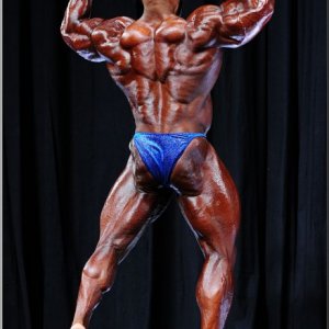 2013 Bodybuilding Images