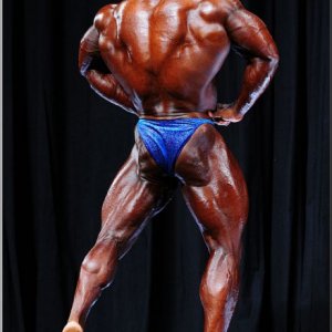 2013 Bodybuilding Images