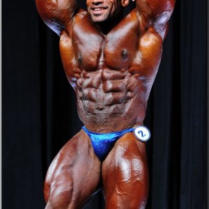 2013 Bodybuilding Images