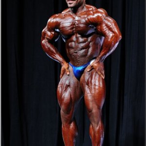 2013 Bodybuilding Images