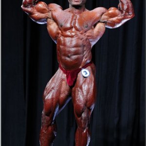 2013 Bodybuilding Images