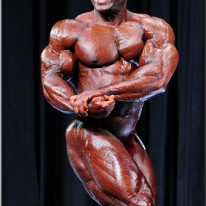 2013 Bodybuilding Images