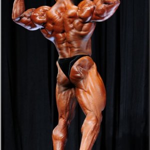 2013 Bodybuilding Images