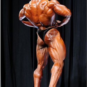 2013 Bodybuilding Images