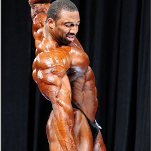 2013 Bodybuilding Images