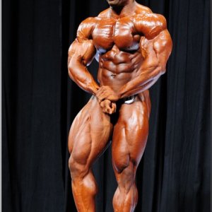 2013 Bodybuilding Images