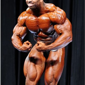 2013 Bodybuilding Images