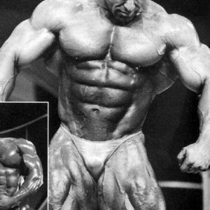 2013 Bodybuilding Images