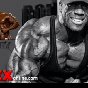 2013 Bodybuilding Images