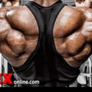 2013 Bodybuilding Images