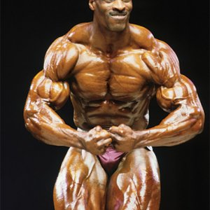 2013 Bodybuilding Images