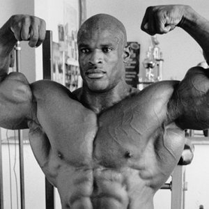 2013 Bodybuilding Images