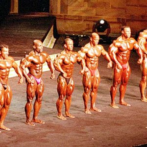 2012 Bodybuilding Images