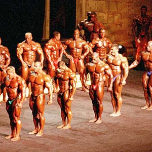 2012 Bodybuilding Images