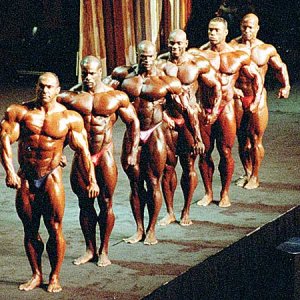 2012 Bodybuilding Images