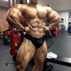 2012 Bodybuilding Images