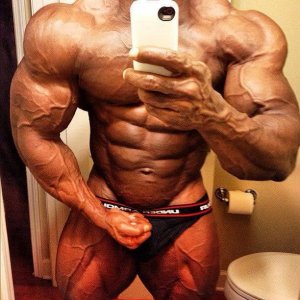 2012 Bodybuilding Images