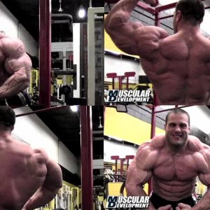 2012 Bodybuilding Images