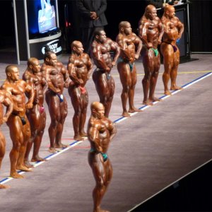 2012 Bodybuilding Images