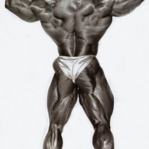 2012 Bodybuilding Images